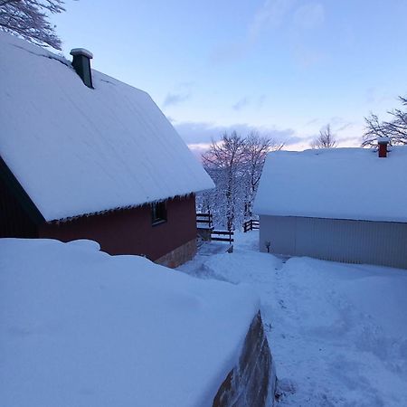 Vila Darija Zabljak  Exterior photo
