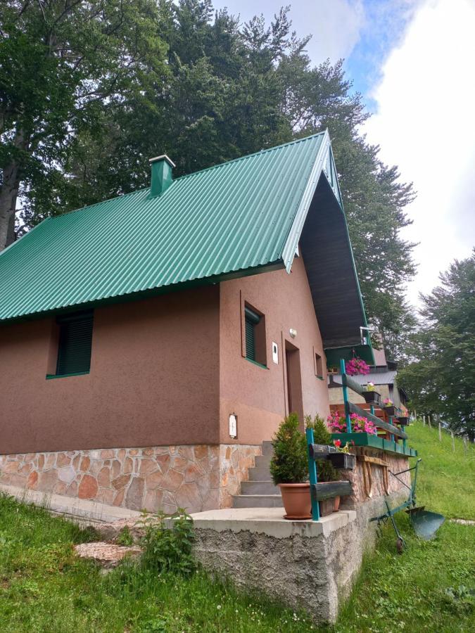 Vila Darija Zabljak  Exterior photo